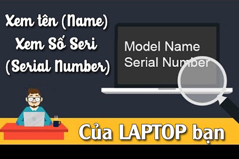 Hướng Dẫn Cách Xem Số Serial Number Của Laptop Chuẩn Nhất